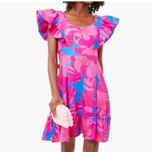 Tuckernuck Floral Pink and Blue Mini Dress